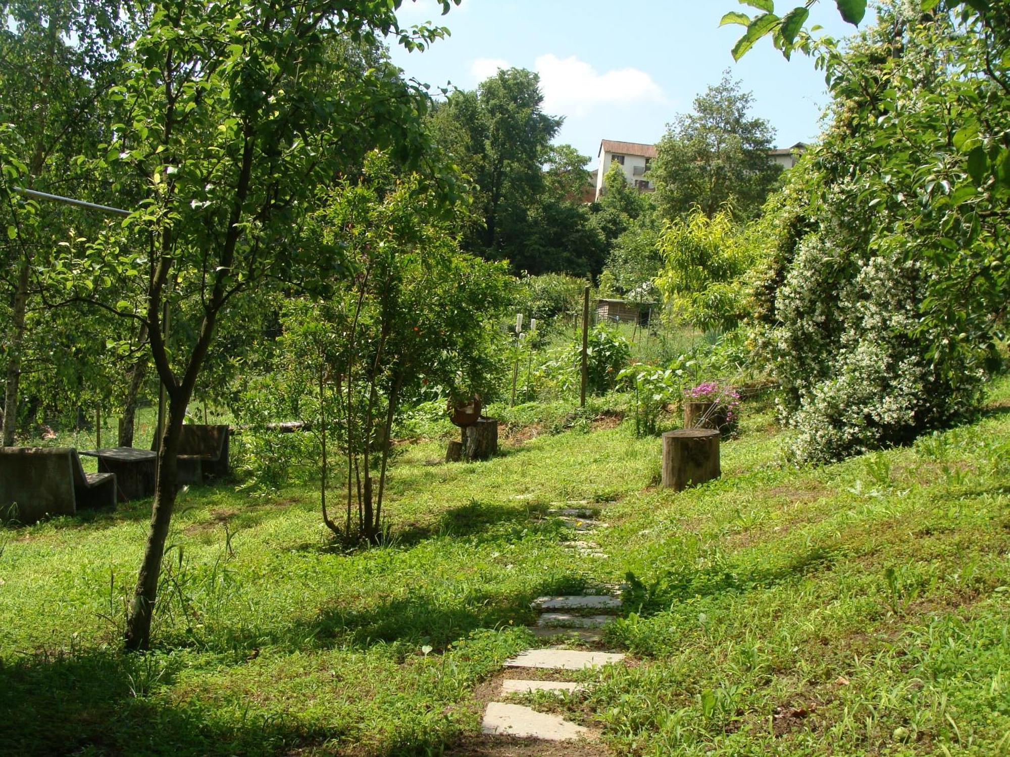 Appartamento In Monferrato Di Dominga Portacomaro Εξωτερικό φωτογραφία